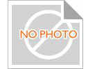 Excavator Engine CAT3306 E330 প্রধান লেয়ার 4W5738 STD আকার